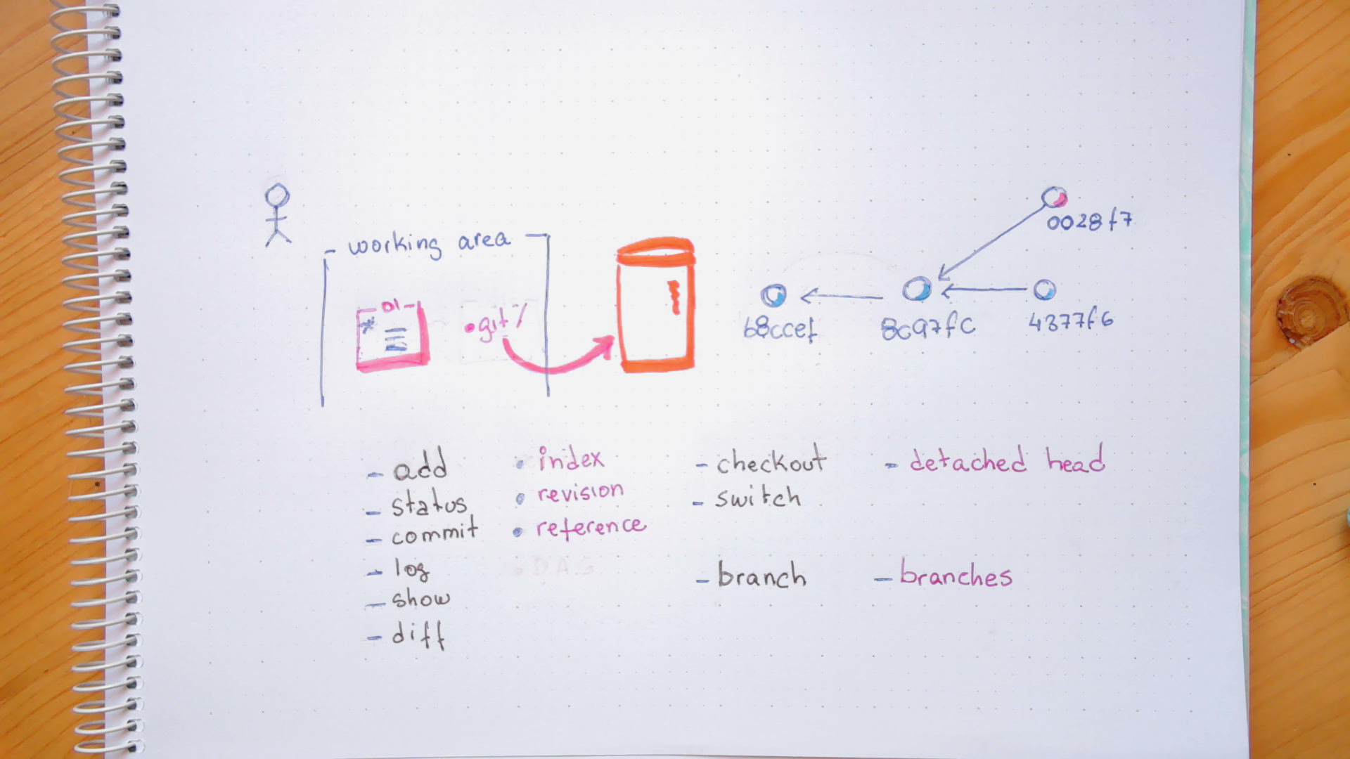 Diagram depicting the two branches